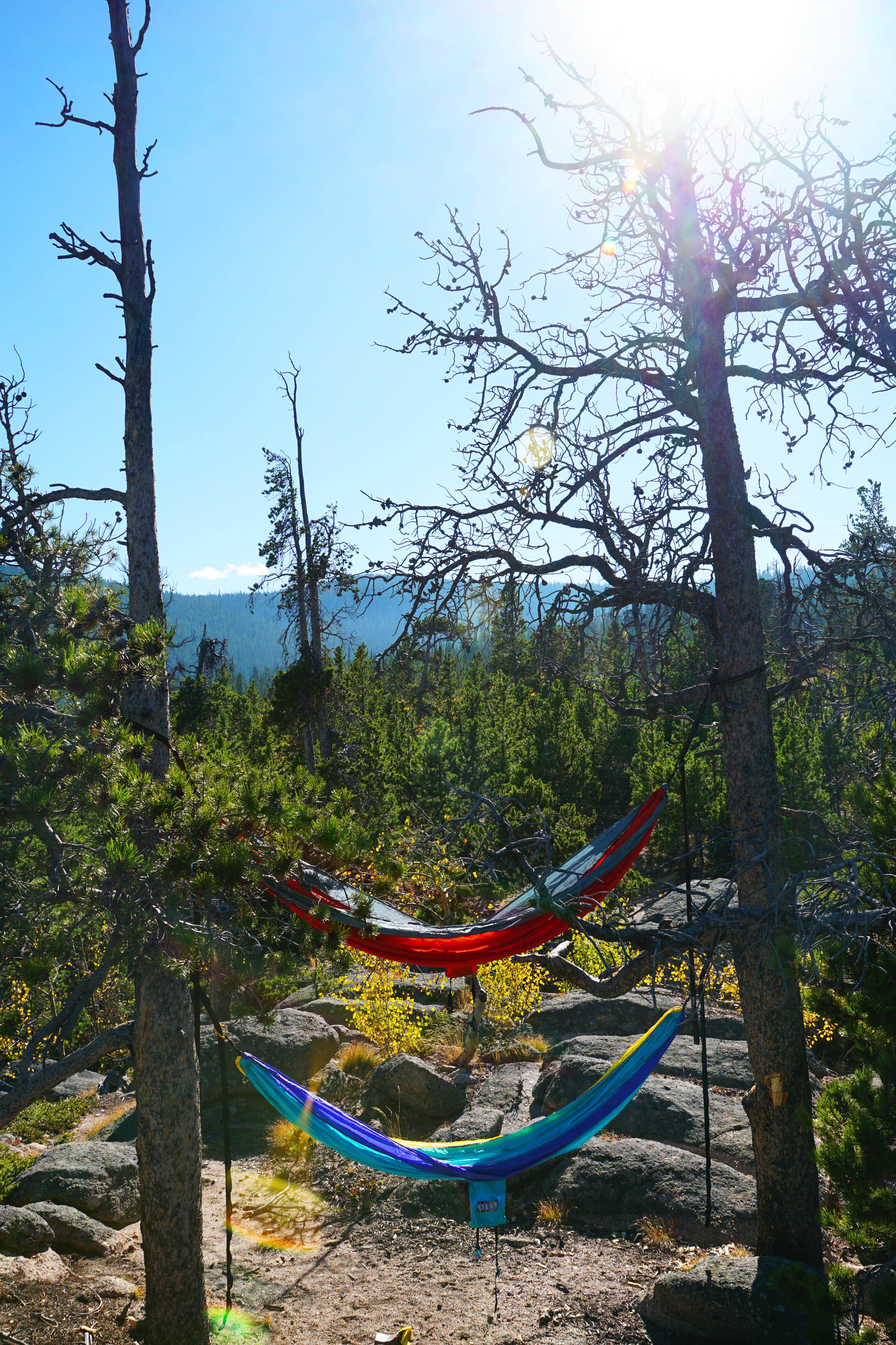 hammock